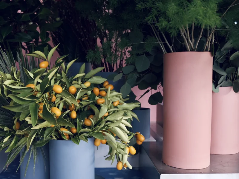Kaspar Blumen