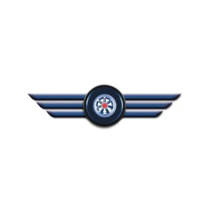 Logo von Fly & Race Simulations